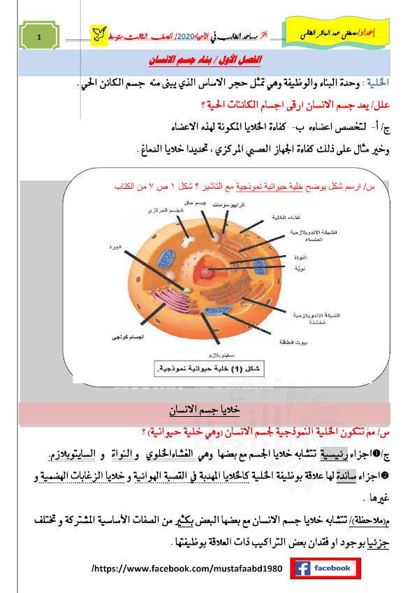 غلاف ملزمة الاحياء مصطفى الظالمي الثالث متوسط 2026 - 2027